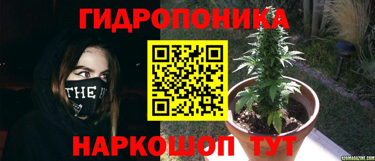 Ижевск  Конопля планчик  Бошки Шишки SATIVA & INDICA  Вход с VPN  Бошки Шишки AK-47 